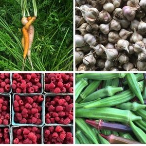 Meet your Posher, Hilary